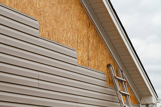 Professional Siding Inspection technician working in Schuyler, VA